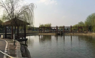 防腐木涼亭、花架 防腐木涼亭、花架