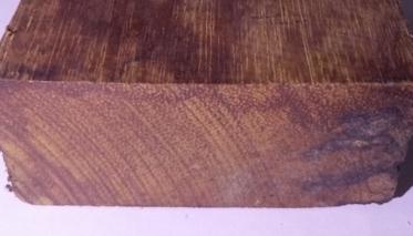 }Lɳľľr񣬷ľ裬_ܣľľ