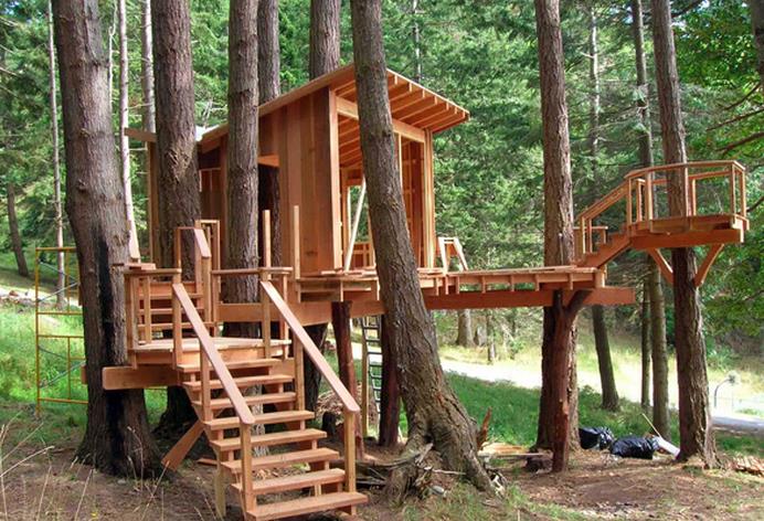 小樹屋.jpg 小樹屋.jpg