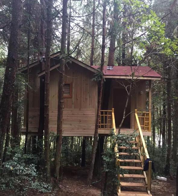 防腐木小樹屋.jpg 防腐木小樹屋.jpg