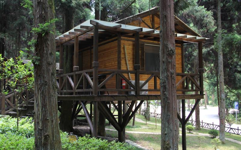 林中樹屋.jpg 林中樹屋.jpg