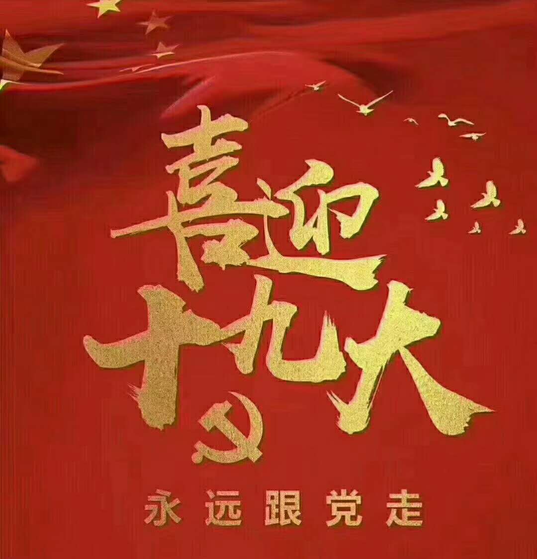 喜迎十九大.jpg 喜迎十九大.jpg