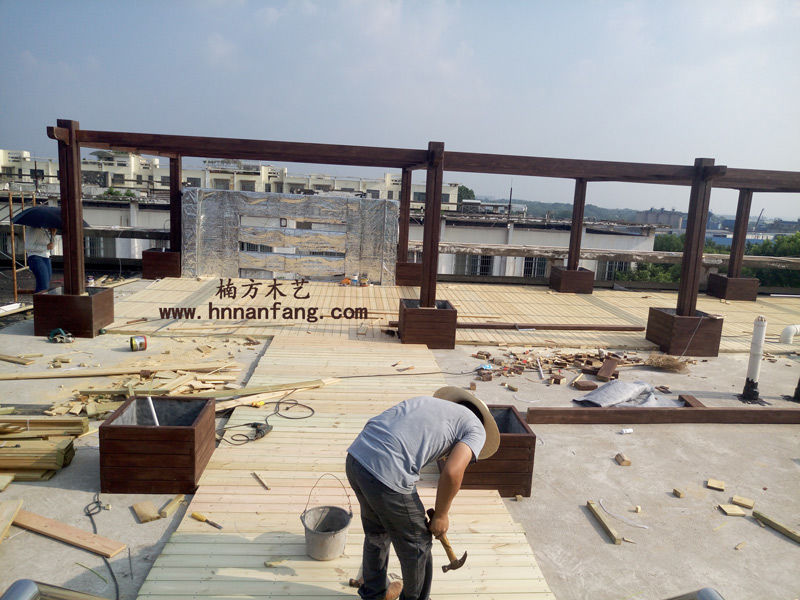 葡萄架.jpg 葡萄架.jpg