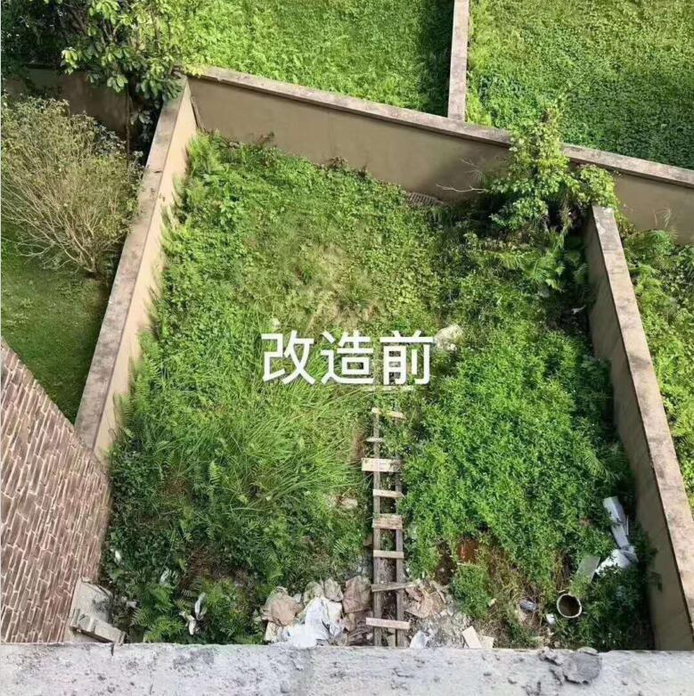 ͥԺǰ.jpg